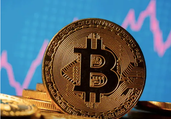 Profit Rex - Become part of Profit Rex today for Improved Protection through Cryptographic Solutions.